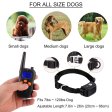 Dog Training Collar with Wireless Remote WaterProof&Rechargeable