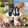 Dog Training Collar with LCD Screen for 2 Dogs