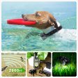 800 yards Dog Training Collar with Wireless Remote WaterProof&Rechargeable