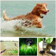 Dog Training Collar with 800 yards Wireless Remote WaterProof&Rechargeable for 2 dogs