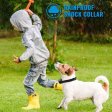 Dog Training Collar with Rechargeable LCD Remote for 1 dog
