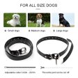 Dog training collar with waterproof Rechargeable M613/M623/M633 Collars