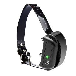 Dog training collar with waterproof Rechargeable M613/M623/M633 Collars Dog training collar with waterproof Rechargeable M613/M623/M633 Collars