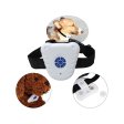 Ultrasonic No Bark Dog Training Collar Automatic Anti Bark Collar