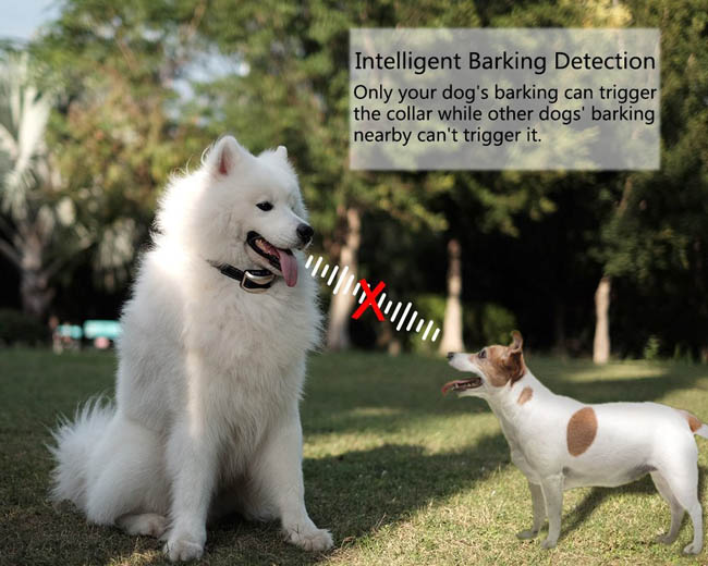 No Bark Dog Training Collar Automatic Anti Bark Collar Sound adjustable