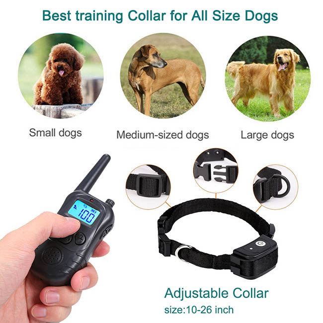 Dog Training Collar with Wireless Remote WaterProof&Rechargeable : dog