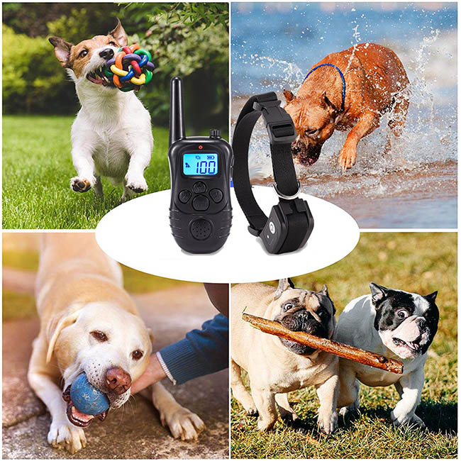 Dog Training Collar with Wireless Remote WaterProof&Rechargeable