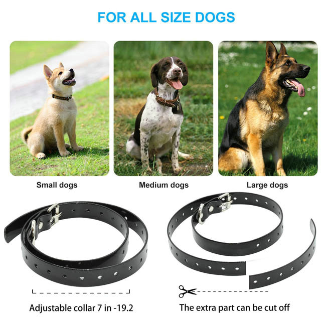 Waterproof and rechargeable dog training collar for 3 dogs