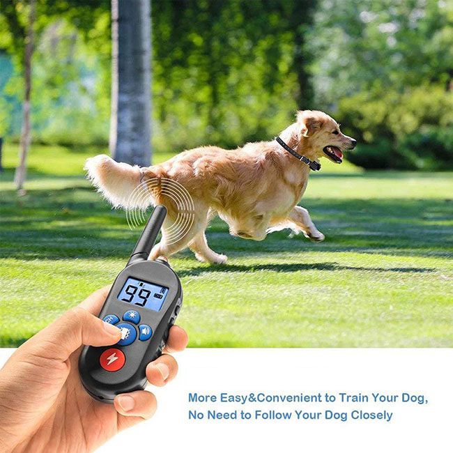 Dog training collar waterproof and Rechargeable for 1 dog