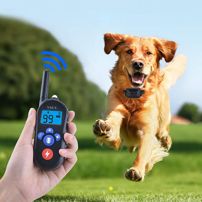 Waterproof and rechargeable dog training collar for 2 dogs