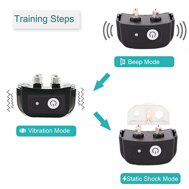 Dog Training Collar with LCD Screen for 2 Dogs