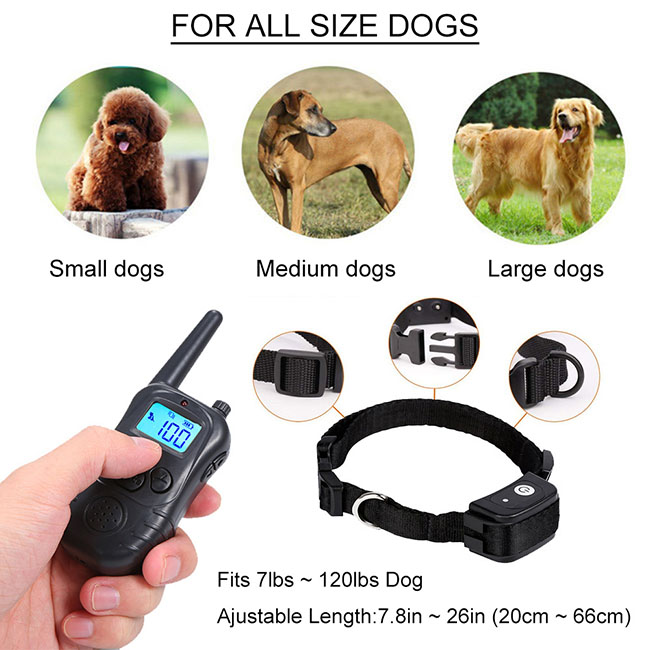 Dog Training Collar with LCD Screen for 2 Dogs