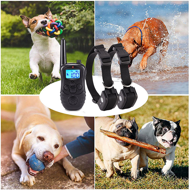 Dog Training Collar with LCD Screen for 2 Dogs